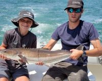 103658087 3280450155514284 n