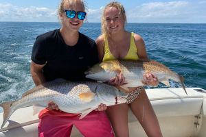 117375222 3339989682893664 n