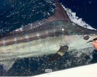 40552143 2682907131935259 n