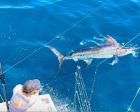 469210006 4741109606114991 n