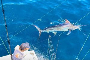 469210006 4741109606114991 n