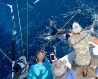 476006111 4794671787425439 n