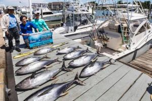 484508771 4836558833236734 n