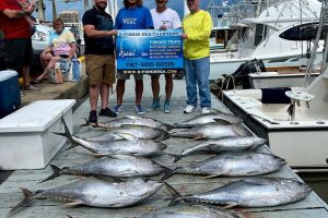 485100579 4841177159441568 n