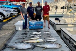 485767458 4842123272680290 n