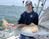 500706349 1553830778907034 n