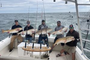 500710035 1558402578449854 n