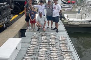 504238243 1566496147640497 n