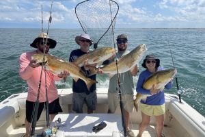 504277556 10230252488881513 n