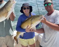 505844336 10230252485161420 n