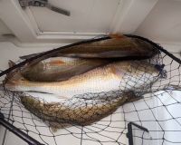 506379758 10230267380733800 n