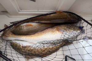 506379758 10230267380733800 n