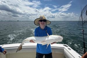 507320775 1573368753619903 n