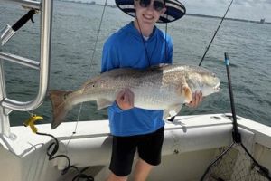 507953825 1573368710286574 n