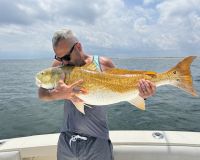 514253198 1601949457428499 n