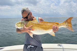 514253198 1601949457428499 n