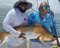 519639796 1596948164595295 n