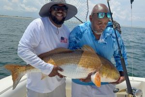 519639796 1596948164595295 n