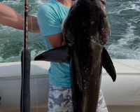 520140654 1606000280356750 n