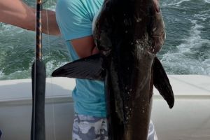 520140654 1606000280356750 n