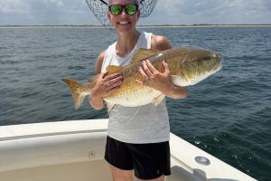 520443398 1601949587428486 n