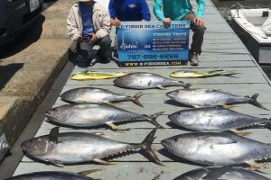 89394970 3182831728609461 n