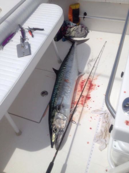 503580602 4936043329954950 n