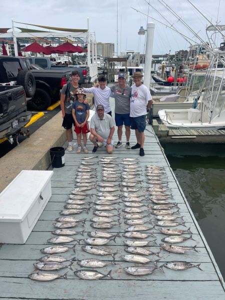 504238243 1566496147640497 n