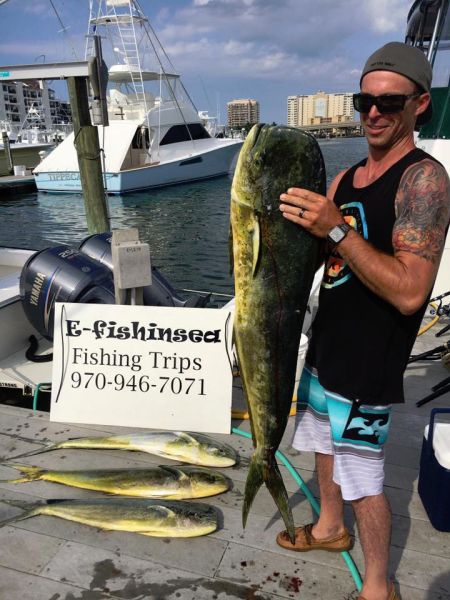 506534139 4945119305714019 n