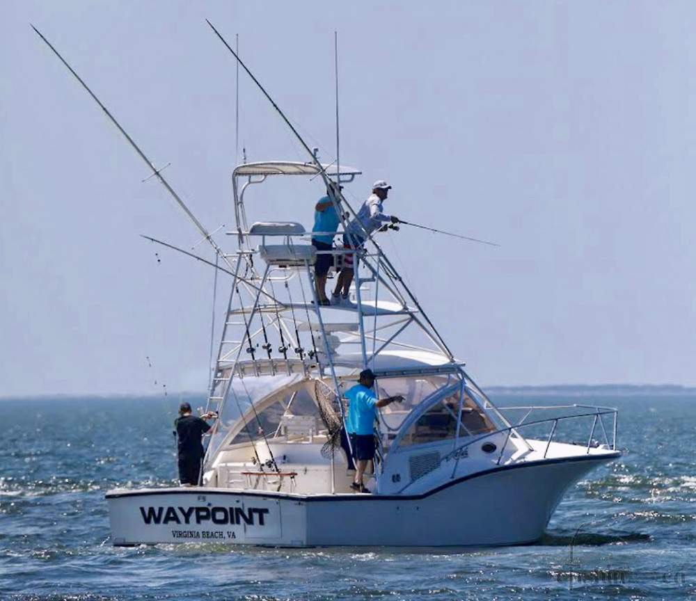 Carolina Classic 35