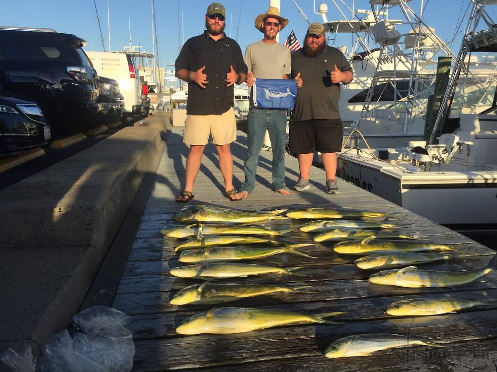 Nice haul of Dolphin and a great White Marlin release