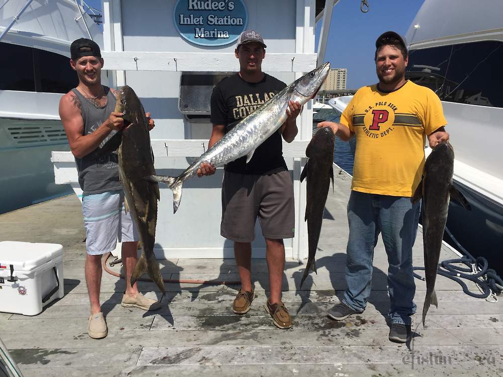Inshore Cobia and trolling for King Mackerel