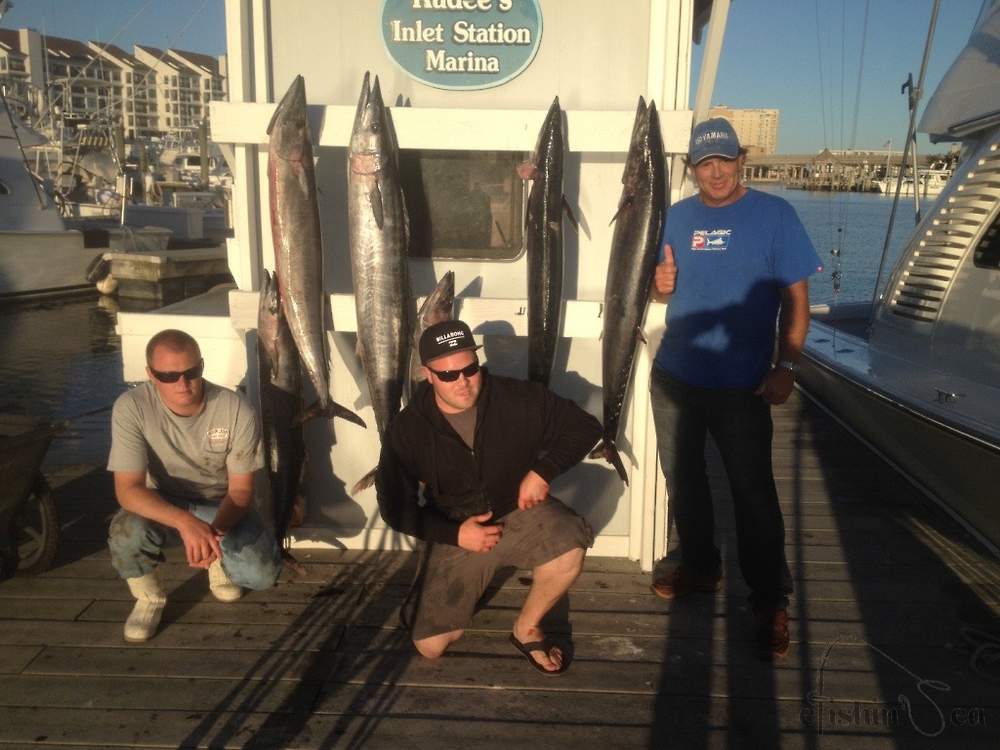 A nice catch of Wahoo