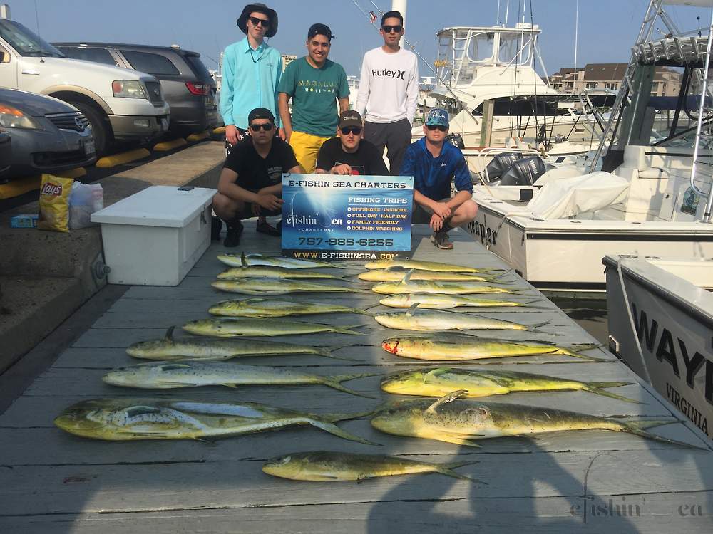 Nice Dolphin catch for these young men.