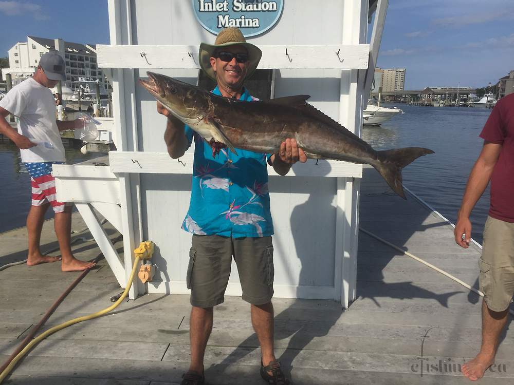 August 2018 Cobia