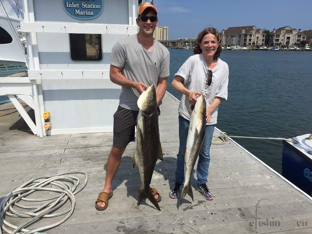 August 2018 Cobia