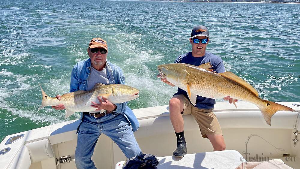 Happy campers holding up their huge Red Drum