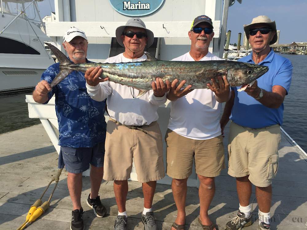 Another 2018 King Mackerel