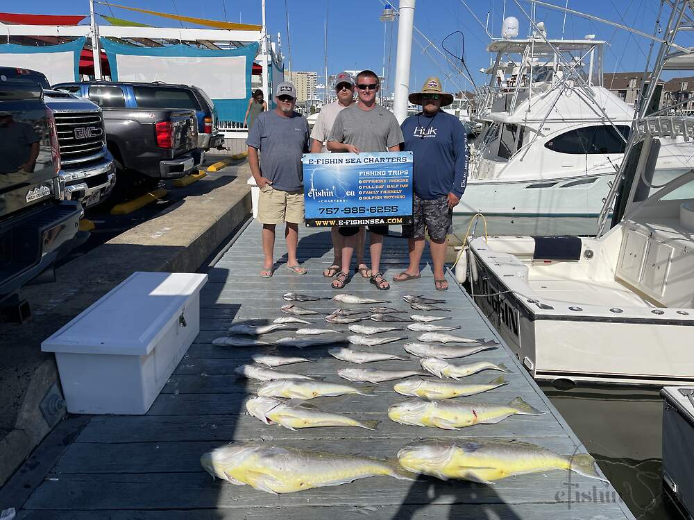 Nice big Golden Tiles and a mix of Blues and black seabass